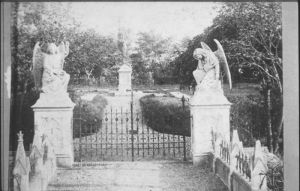 018947.jpg