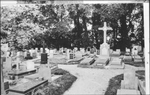 018949.jpg