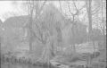 Filename=021737.jpg
Filesize=50KiB
Dimensions=800x511
Date added=Jan 06, 2005 021737.jpg
