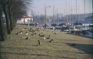 020946.jpg