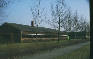 032050.jpg