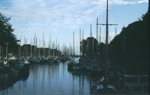 043305.jpg