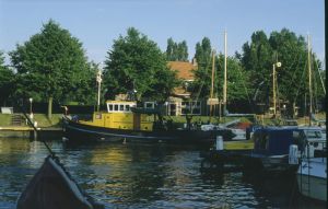 043313.jpg