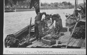 1914
Ansjovissers, Oosterhaven
