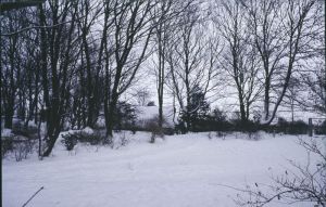065406.jpg