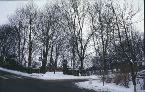 065350.jpg