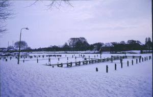 065437.jpg