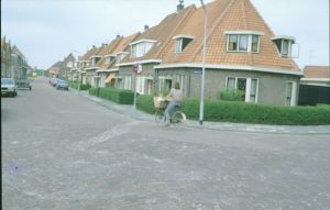 076707.jpg