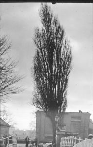099720.jpg