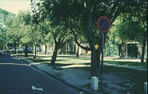 1433.jpg
