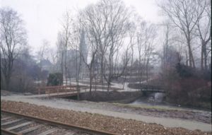 10215.jpg