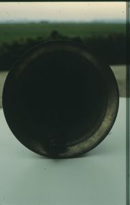 10941.jpg
