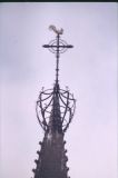 019011.jpg